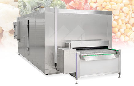 Blast freezer